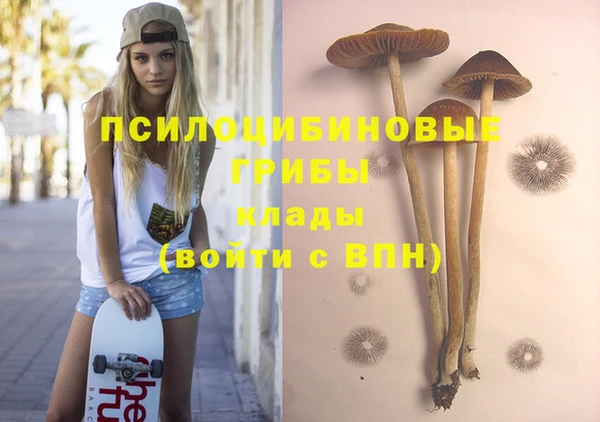 мяу мяу мука Беломорск