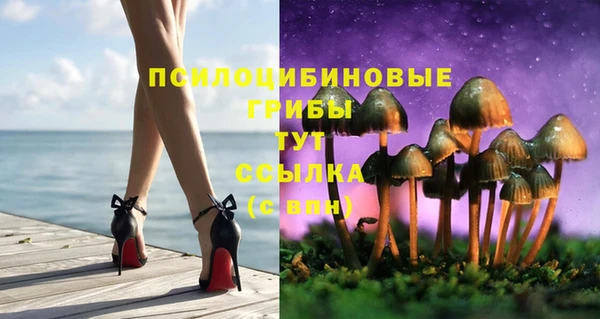 мяу мяу мука Беломорск