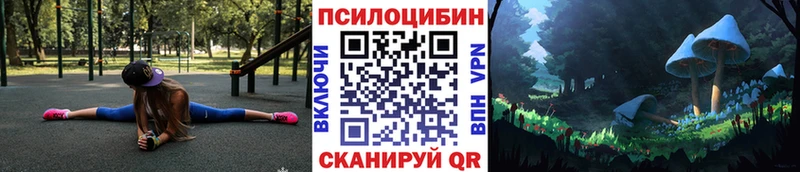Галлюциногенные грибы Psilocybe  Топки 